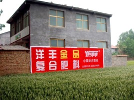 杭州如何让墙体广告展现最大化效果